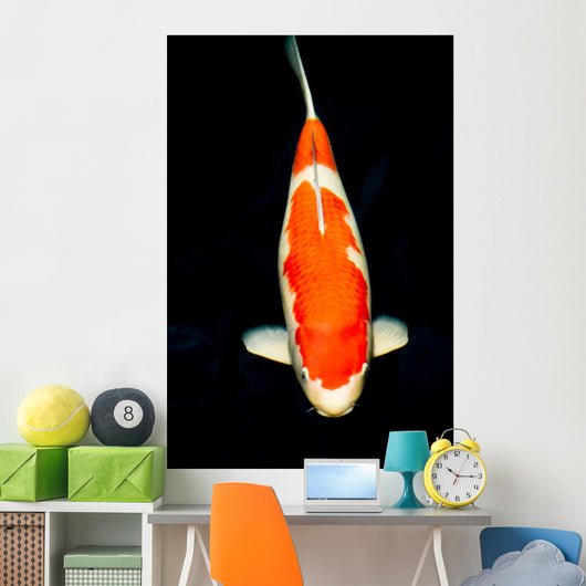 Kohaku Koi Wall Decal