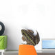 Tokyo Daruma Pond Frog Wall Decal