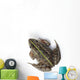 Tokyo Daruma Pond Frog Wall Decal