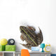 Tokyo Daruma Pond Frog Wall Decal