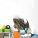 Tokyo Daruma Pond Frog Wall Decal