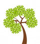 Leafy Tree Illustration Wall Decal