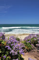 Beach Full Flowers Wall Decal