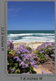 Beach Full Flowers Wall Decal