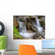 Two Springs Wall Decal