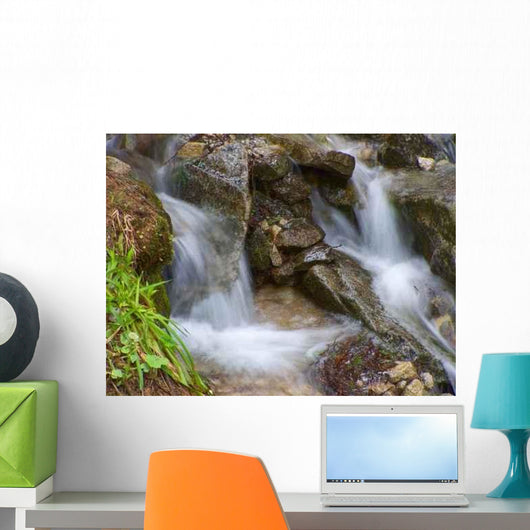Two Springs Wall Decal