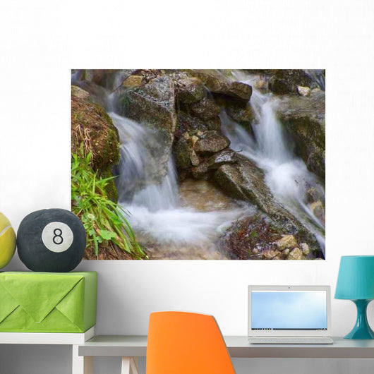 Two Springs Wall Decal