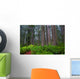 Redwoods Wall Decal