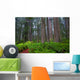 Redwoods Wall Decal