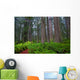 Redwoods Wall Decal