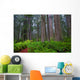 Redwoods Wall Decal