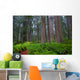 Redwoods Wall Decal