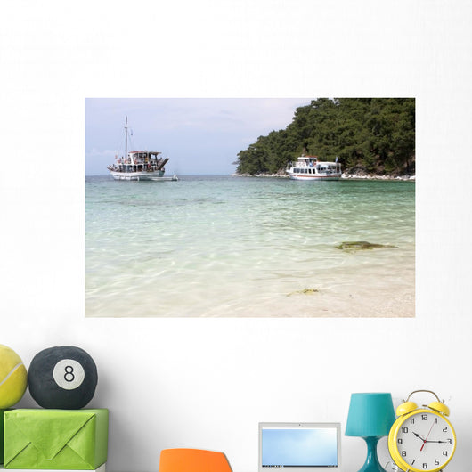 Wild Beach near Thassos Wall Decal