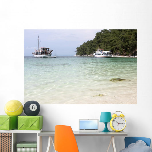 Wild Beach near Thassos Wall Decal