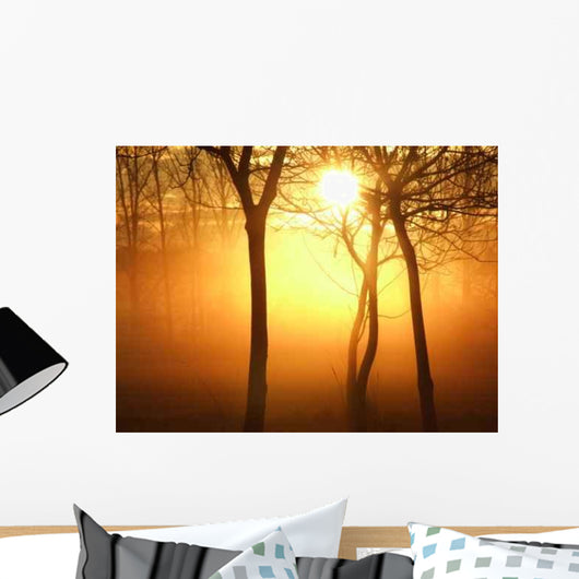 Sunrise Misty Morning Wall Decal