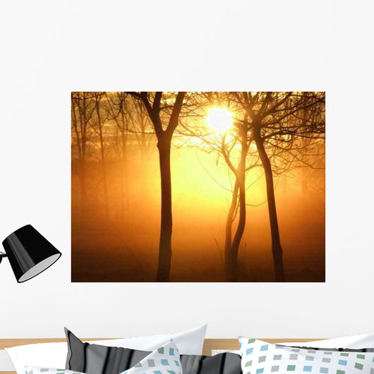 Sunrise Misty Morning Wall Decal