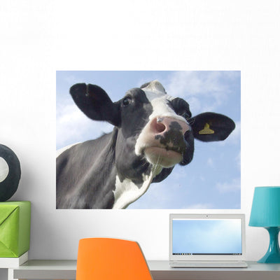 Cow Wall Decal shown on a wall