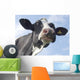 Cow Wall Decal