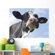 Cow Wall Decal