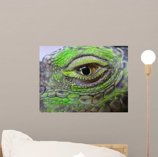 Oeil Iguane Wall Decal