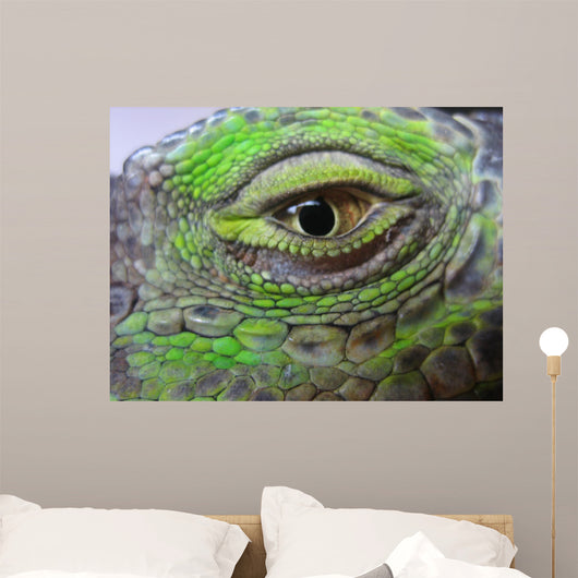 Oeil Iguane Wall Decal