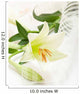 White Lily Wall Decal
