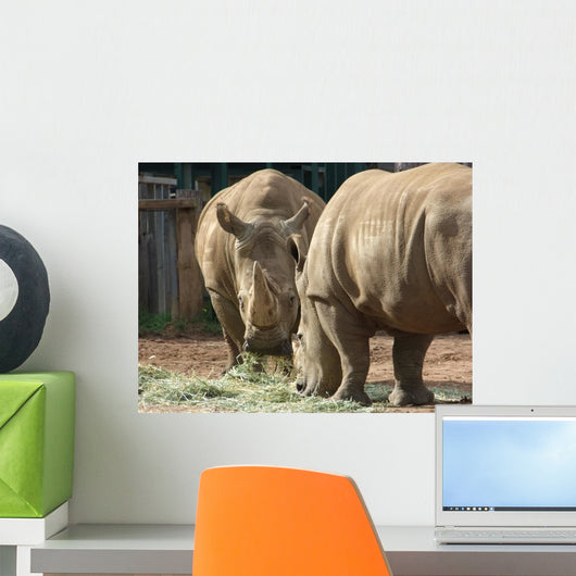 Rhinos Wall Decal
