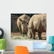Rhinos Wall Decal