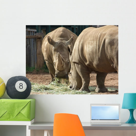 Rhinos Wall Decal