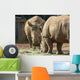 Rhinos Wall Decal