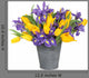 Iris and Tulip Flowers Wall Decal