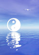 Yin and Yang Blue Wall Decal