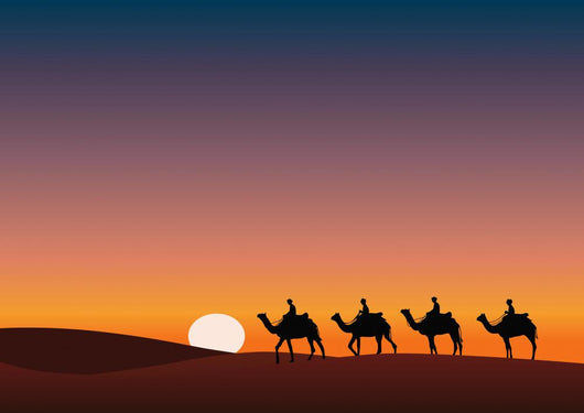 Paysage Desert Dromadaire Crepuscule Wall Decal