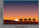 Paysage Desert Dromadaire Crepuscule Wall Decal