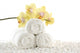 Orchids White Spa Towels Wall Decal