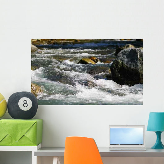Wild River and Rocks Wall Decal