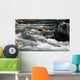 Wild River and Rocks Wall Decal