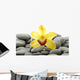 Still Life with Macro Wall Decal
