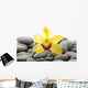 Still Life with Macro Wall Decal