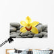 Still Life with Macro Wall Decal