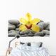 Still Life with Macro Wall Decal