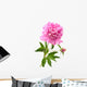 Pink Peony Wall Decal