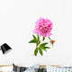 Pink Peony Wall Decal