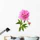 Pink Peony Wall Decal