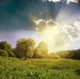 Sun Beams and Green Landscape Wall Decal