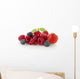 Various Berries Wall Decal