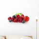 Various Berries Wall Decal
