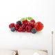 Various Berries Wall Decal