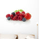 Various Berries Wall Decal
