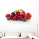 Various Berries Wall Decal